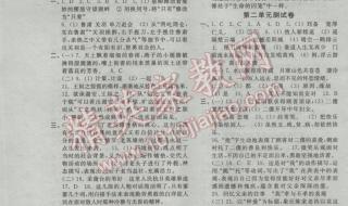 小学数学新课程标准四基是什么 新课标第一网数学